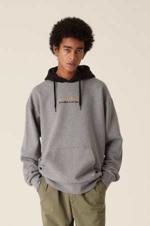 Grey La Martina LMRTN Hoodie USA | VWS-7172