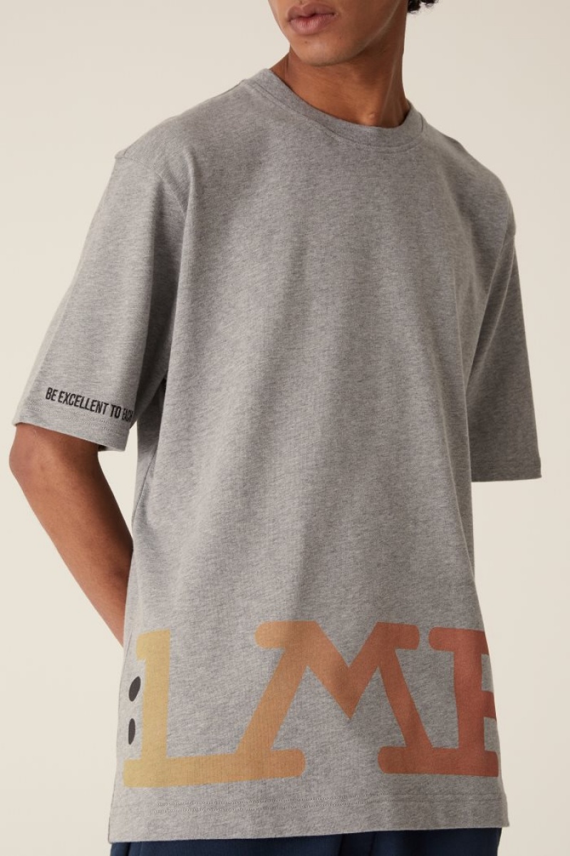 Grey La Martina LMRTN Basic T Shirts USA | GCW-3217