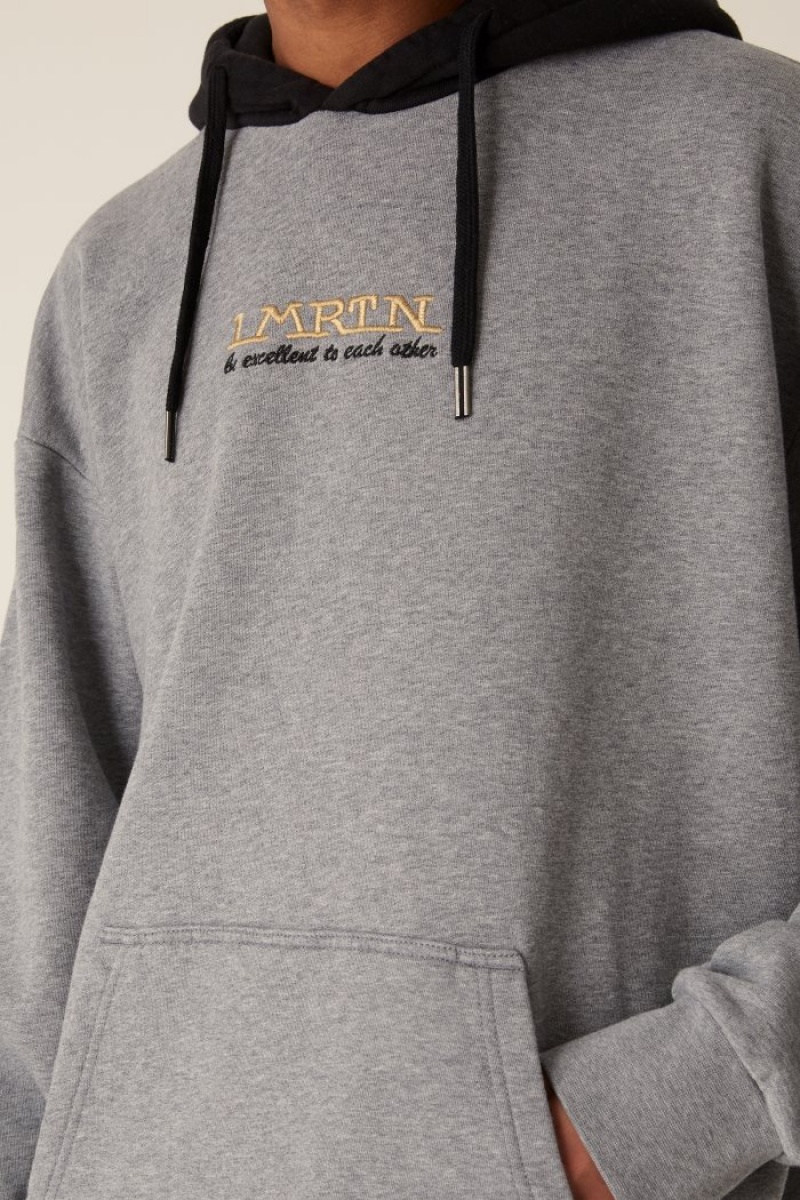 Grey La Martina LMRTN Hoodie USA | VWS-7172