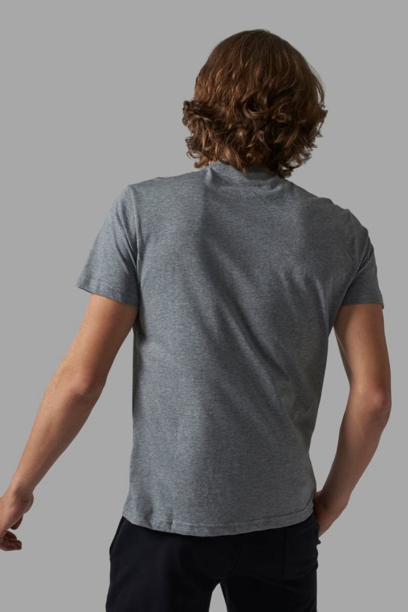 Grey La Martina Regular-fit Men T Shirts USA | AZO-6025